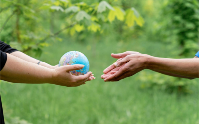 How Water-Absorbent Polymer Supports Sustainable Agriculture