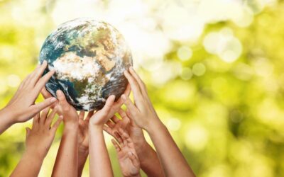 Global Specialty Chemical Supplier